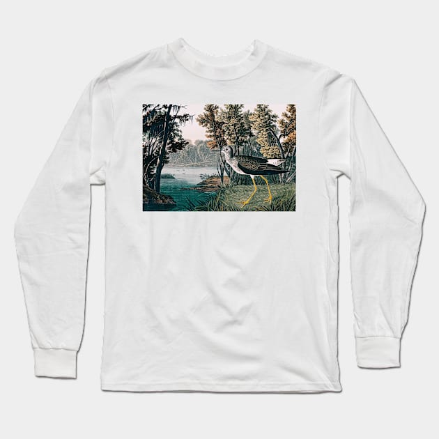 Bird of America  Bird, bird lover, america, beautiful  Public domain painting by John James Audubon Long Sleeve T-Shirt by RosMir